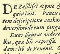 An illustration from Discursus medico-philosophicus de casu adolescentis cujusdam Argentoratensis mirabili : (1617)