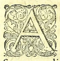 An illustration from Discursus medico-philosophicus de casu adolescentis cujusdam Argentoratensis mirabili : (1617)