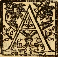 An illustration from Discvrso astro nomico sobre el cometa : estrella que de nueuo ha aparecido en el Zodiaco, en 18.grados del signo de Sagitario, cerca de la Ecliptica, con poca latitud septentrional, a los 8. de Octubre 1604 (1604)