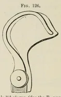 Picture 16 of 18 from Diseases of the eye. (1890), leaf 386