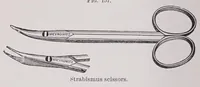 An illustration from Diseases of the eye (1900)