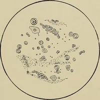 An illustration from Diseases of the stomach : a text-book for practitioners and students (1906)