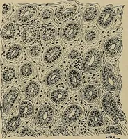 An illustration from Diseases of the stomach : a text-book for practitioners and students (1906)