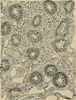 An illustration from Diseases of the stomach : a text-book for practitioners and students (1906)