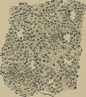 An illustration from Diseases of the stomach : a text-book for practitioners and students (1906)