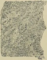 An illustration from Diseases of the stomach : a text-book for practitioners and students (1906)