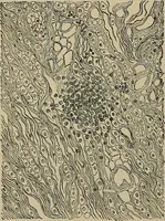 An illustration from Diseases of the stomach : a text-book for practitioners and students (1906)