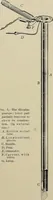 An illustration from Diseases of the stomach : a text-book for practitioners and students (1906)