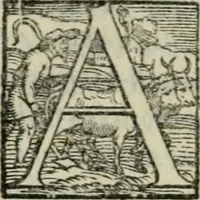 An illustration from Disegno del Doni : partito in piv ragionamenti, ne qvali si tratta della scoltvra et pittvra : de colori, de getti, de modegli, con molte cose appartenenti a quest'arti : & si termina la nobiltà dell'una et dell'altra professione : con historie, essempi, et sentenze : & nel fine alcune lettere che trattano della medesima materia (1549)