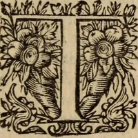 Picture 4 of 8 from A dispute against the English-Popish ceremonies, obtruded upon the Church of Scotland : wherein not only our own arguments against the same are strongly confirmed, but likewise the answers and defences of our opposites, such as Hooker, Mortoune, Burges, Sprint, Paybody, Andrewes, Saravia, Tilen, Spotswood, Lindsey, Forbesse, &c. particularly confuted (1637), leaf 26