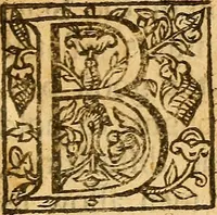 An illustration from The disputation at Winchcomb, November 9, 1653 : together with the letters and testimonies pertinent thereto : wherein is offered some satisfaction in several points of religion (1654)