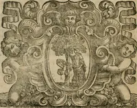 An illustration from Duplex dissertatio de duobus nummis Diocletiani et Licinii : ex cimelijs sereniss. ac reuerendiss. principis Leopoldi Cardinalis Medicei, cum auctario chronologico de votis decennalibus imperatorum ac caesarum (1676)
