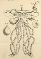 Picture 12 of 12 from Dissertatio epistolica de bombyce .. (1669), leaf 161