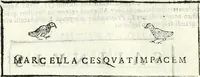 Picture 34 of 54 from Dissertatio et animadversiones ad nuper inventum Severae martyris epitaphium (1734), leaf 163
