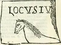 An illustration from Dissertatio et animadversiones ad nuper inventum Severae martyris epitaphium (1734)
