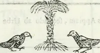 Picture 37 of 54 from Dissertatio et animadversiones ad nuper inventum Severae martyris epitaphium (1734), leaf 176