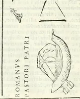Picture 49 of 54 from Dissertatio et animadversiones ad nuper inventum Severae martyris epitaphium (1734), leaf 223