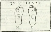 An illustration from Dissertatio et animadversiones ad nuper inventum Severae martyris epitaphium (1734)