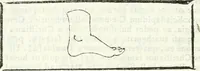 An illustration from Dissertatio et animadversiones ad nuper inventum Severae martyris epitaphium (1734)