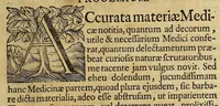 An illustration from Dissertatio inauguralis medica de lapide manati, : quam Deo benedicente, rectore magnificentissimo, serenissimo principe ac domino Dn. Friderico Wilhelmo, marchione Brandenb. electoratus herede E. R. Iussu gratiosae facultatis medicae sub praesidio excellentissimi viri Dn. Georgii Ernesti Stahl, med. doct. ac. prof. publ. h. t. decani patroni, praeceptoris ac promotoris sui aetatem colendi, pro licentia summos in arte medica honores, juraque & privilegia legitime capessendi, ad d. XXIX. jun. MDCXCIX horis ante- & pomeridianis (1699)