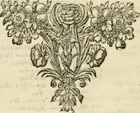An illustration from Dissertationes IX, antiquitatibus, quin et marmoribus : cum Romanis, tum potissimum Graecis, illustrandis inservientes (1702)