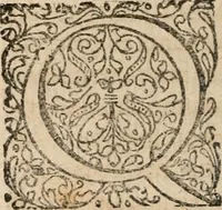 Picture 12 of 22 from Dissertationes juris publici de controversiis quibusdam illustribus superiori seculo, scriptis publicis, agitatis, opus vere novum et aureum (1680), leaf 183