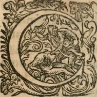 Picture 14 of 22 from Dissertationes juris publici de controversiis quibusdam illustribus superiori seculo, scriptis publicis, agitatis, opus vere novum et aureum (1680), leaf 208
