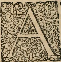Picture 16 of 22 from Dissertationes juris publici de controversiis quibusdam illustribus superiori seculo, scriptis publicis, agitatis, opus vere novum et aureum (1680), leaf 269