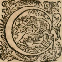 Picture 18 of 22 from Dissertationes juris publici de controversiis quibusdam illustribus superiori seculo, scriptis publicis, agitatis, opus vere novum et aureum (1680), leaf 340