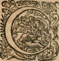 An illustration from Dissertationes juris publici de controversiis quibusdam illustribus superiori seculo, scriptis publicis, agitatis, opus vere novum et aureum (1680)