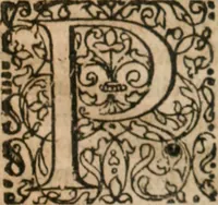 An illustration from Dissertationes juris publici de controversiis quibusdam illustribus superiori seculo, scriptis publicis, agitatis, opus vere novum et aureum (1680)