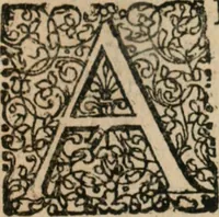Picture 6 of 22 from Dissertationes juris publici de controversiis quibusdam illustribus superiori seculo, scriptis publicis, agitatis, opus vere novum et aureum (1680), leaf 74