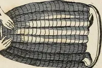 An illustration from A dissertation on the Oriental trinities (1801)