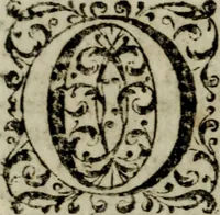 An illustration from Distinto ragguaglio dell'ottava maraviglia del mondo, o sia, della gran metropolitana dell'Insubria volgarmente detta il duomo di Milano, cominciando dalla sua origine sino allo stato presente : in cui vengono minutamente, e con molta diligenza descritte tutte le sue parti tanto esteriori, come interiori, con tutto ciò, che in esso si contiene di ammirabile, di vago, di pregievole, e di sacrosanto, oltre diverse altre notizie intorno alla grandezza, magnificenza, e prerogative di questa santa ambrosiana chiesa, e finalmente si descrivono alcune chiese di particolar divozione, con altre cose notabili di questa insigne metropoli .. (1739)