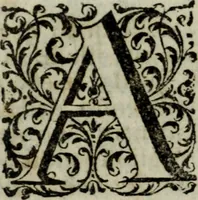 An illustration from Distinto ragguaglio dell'ottava maraviglia del mondo, o sia, della gran metropolitana dell'Insubria volgarmente detta il duomo di Milano, cominciando dalla sua origine sino allo stato presente : in cui vengono minutamente, e con molta diligenza descritte tutte le sue parti tanto esteriori, come interiori, con tutto ciò, che in esso si contiene di ammirabile, di vago, di pregievole, e di sacrosanto, oltre diverse altre notizie intorno alla grandezza, magnificenza, e prerogative di questa santa ambrosiana chiesa, e finalmente si descrivono alcune chiese di particolar divozione, con altre cose notabili di questa insigne metropoli .. (1739)