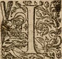 An illustration from The diuells banket (1614)