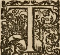 An illustration from The diuells banket (1614)