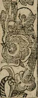 An illustration from Diuerse imprese accommodate a diuerse moralità : con versi che i loro significati dichiarano (1549)