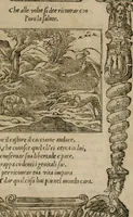 An illustration from Diuerse imprese accommodate a diuerse moralità : con versi che i loro significati dichiarano (1549)