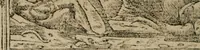 An illustration from Diuerse imprese accommodate a diuerse moralità : con versi che i loro significati dichiarano (1549)