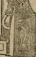 An illustration from Diuerse imprese accommodate a diuerse moralità : con versi che i loro significati dichiarano (1549)