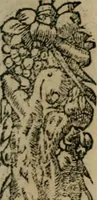 An illustration from Diuerse imprese accommodate a diuerse moralità : con versi che i loro significati dichiarano (1549)