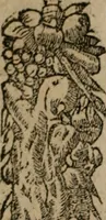 An illustration from Diuerse imprese accommodate a diuerse moralità : con versi che i loro significati dichiarano (1549)