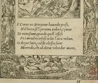 An illustration from Diuerse imprese accommodate a diuerse moralità : con versi che i loro significati dichiarano (1549)