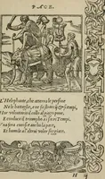 An illustration from Diuerse imprese accommodate a diuerse moralità : con versi che i loro significati dichiarano (1549)