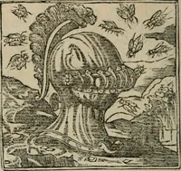 An illustration from Diuerse imprese accommodate a diuerse moralità : con versi che i loro significati dichiarano (1549)