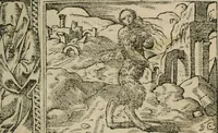 An illustration from Diuerse imprese accommodate a diuerse moralità : con versi che i loro significati dichiarano (1549)