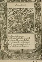 An illustration from Diuerse imprese accommodate a diuerse moralità : con versi che i loro significati dichiarano (1549)