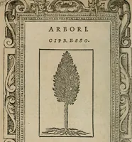 An illustration from Diuerse imprese accommodate a diuerse moralità : con versi che i loro significati dichiarano (1549)