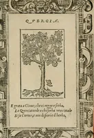 An illustration from Diuerse imprese accommodate a diuerse moralità : con versi che i loro significati dichiarano (1549)